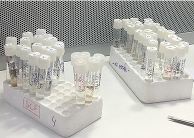 Investigación biomédica